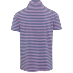 Dunning Oakwood Stripe Ventilated Shirt Polo Short Sleeve Golf Apparel