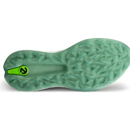 ECCO Golf Biom H5 BOA Spikeless Golf Shoes