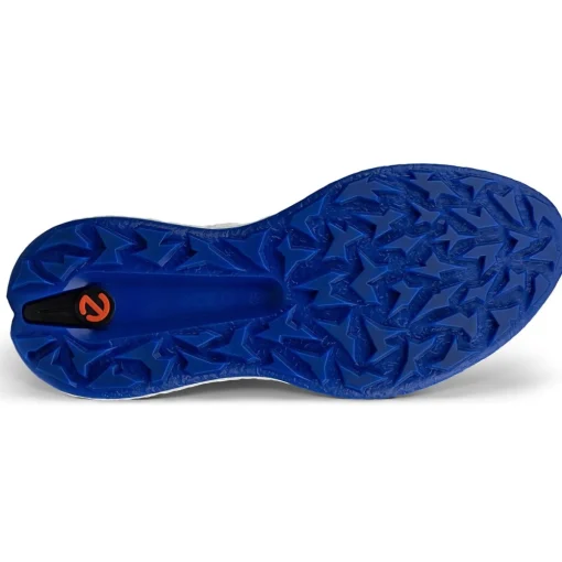 ECCO Golf Biom H5 Spikeless Golf Shoes