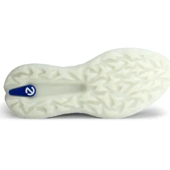 ECCO Golf Biom H5 Textile Spikeless Golf Shoes