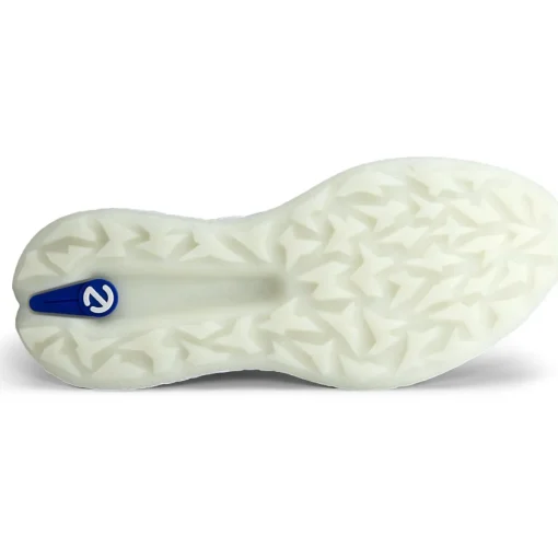 ECCO Golf Biom H5 Textile Spikeless Golf Shoes