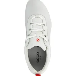 ECCO Golf Biom Hybrid BNY Spikeless Golf Shoes