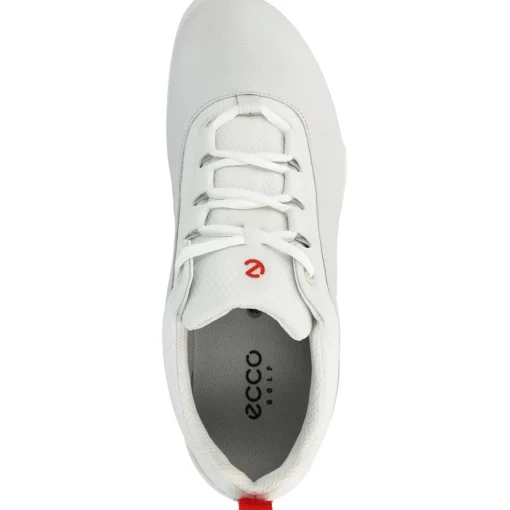 ECCO Golf Biom Hybrid BNY Spikeless Golf Shoes