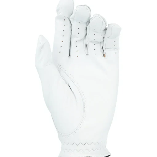 FootJoy StaSof Left Handed Golf Glove Golf Gloves