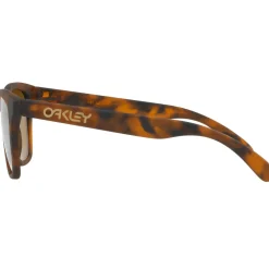 Oakley Frogskins Sunglasses