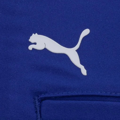 Puma Boys Stretch Short Shorts Flat Front Golf Apparel