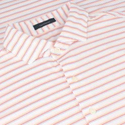 Turtleson Rory Stripe Performance Shirt Polo Short Sleeve Golf Apparel